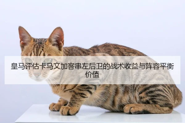 皇马评估卡马文加客串左后卫的战术收益与阵容平衡价值