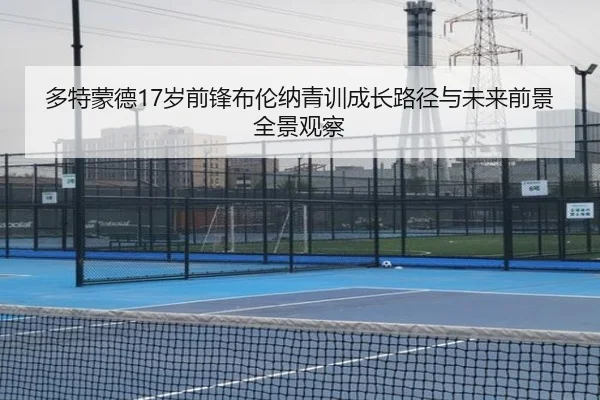 多特蒙德17岁前锋布伦纳青训成长路径与未来前景全景观察